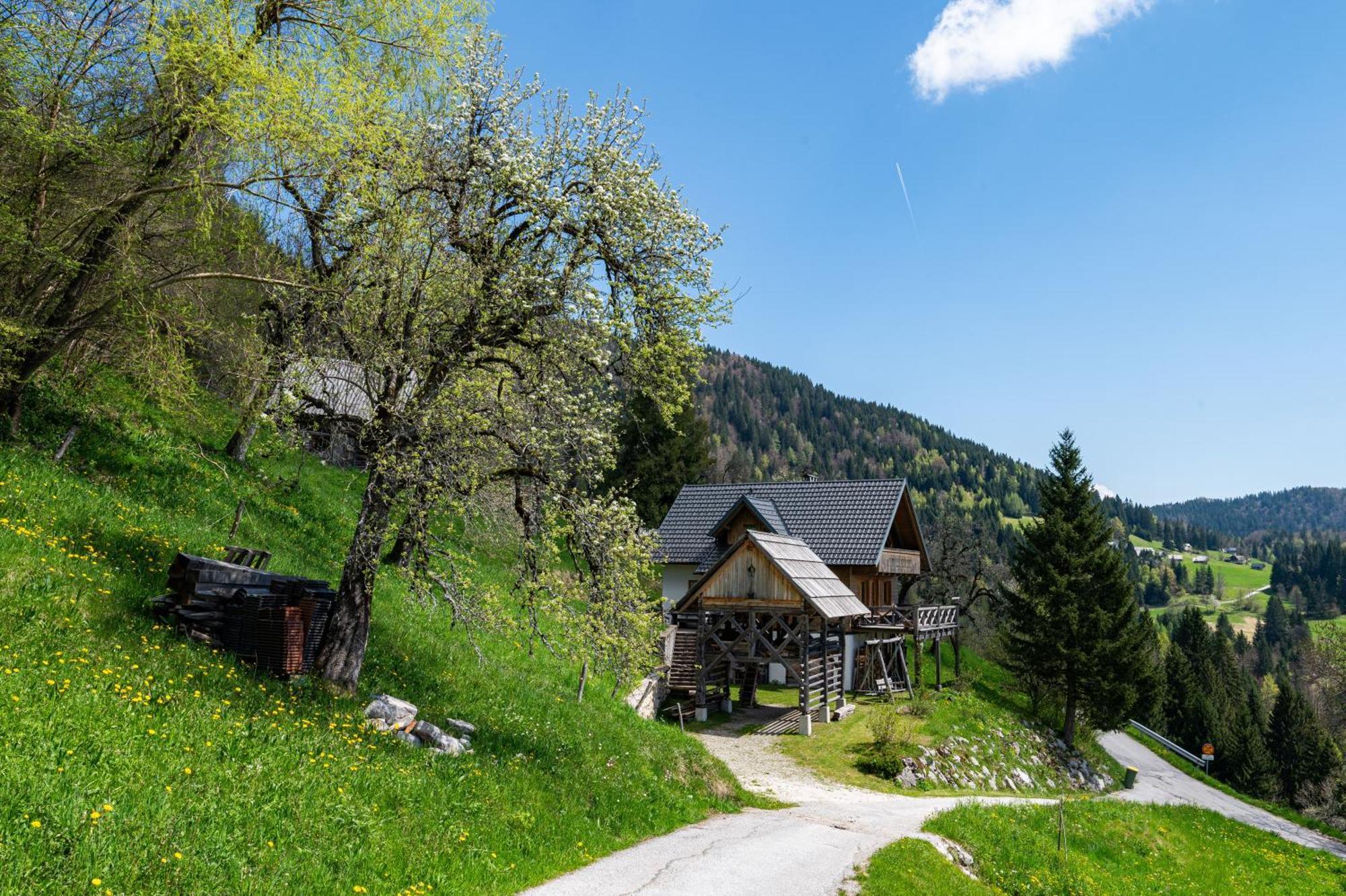 Podjelje Villa Luaran gambar